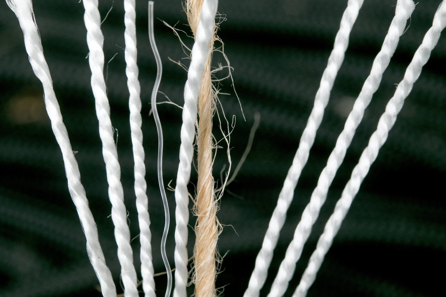 Knivesandtools 550 Paracord Typ III, Fish And Fire Paracord, 100 Ft (30,48 M) 4 Knivesandtools 550 Paracord Typ III, Fish And Fire Paracord, 100 Ft (30,48 M) – Bild 2